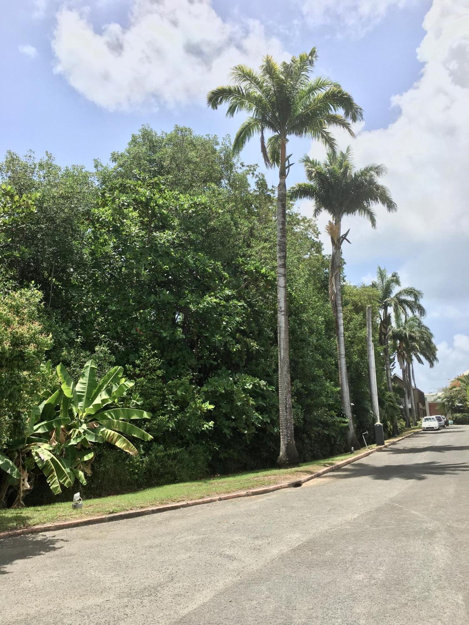Appartement St Francois Manganao Guadeloupe Saint-Francois  Dış mekan fotoğraf